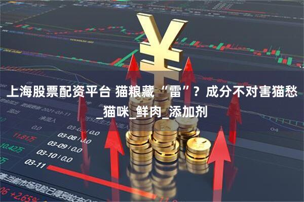 上海股票配资平台 猫粮藏 “雷”？成分不对害猫愁_猫咪_鲜肉_添加剂